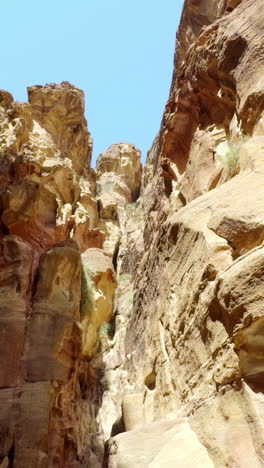 petra canyon