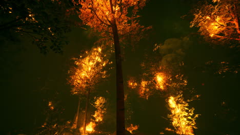 incendio forestal por la noche