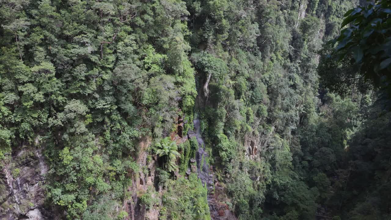 cascada en cascada a través de los acantilados exuberantes de la selva tropical