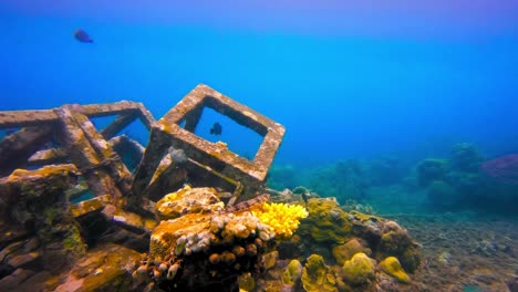 crates on the bottom of the ocean with coral reefs slowly absorbing it