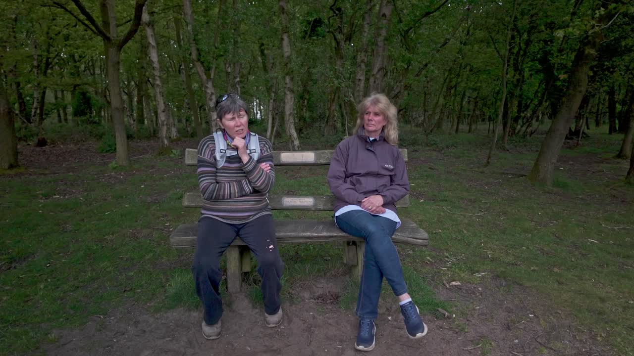 행복하고 미소 짓는 여자 친구들은 평화로운 자연 사이에서 동행을 즐기고 앉아 있습니다.