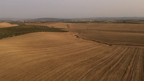 Luftaufnahme-Des-Andalusischen-Ackerlandes-Mit-Olivenbäumen-Und-Getreide-Bei-Sonnenaufgang