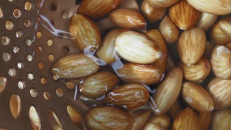 almendras de drenaje