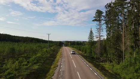 following a car from behind in swedish forest