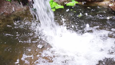 Medium-shot-tilting-down-with-water-into-pond