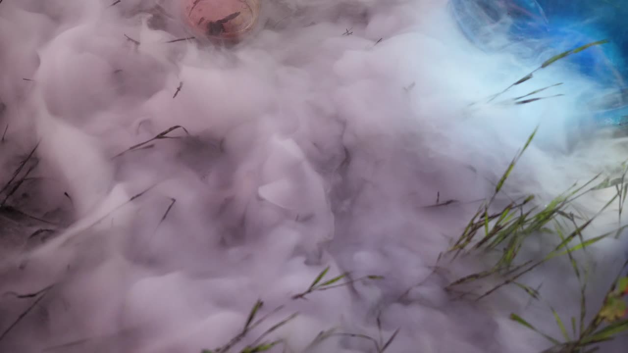 잔디 위에 두꺼운 안개나 연기가