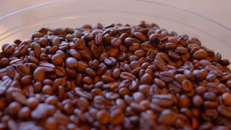 coffee beans ready to be ground in coffee machine