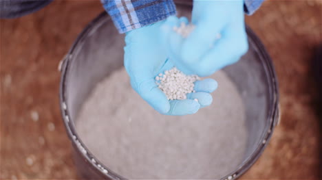 farmer examining herbicides fertilizer in hands before fertilizing agriculture field 3