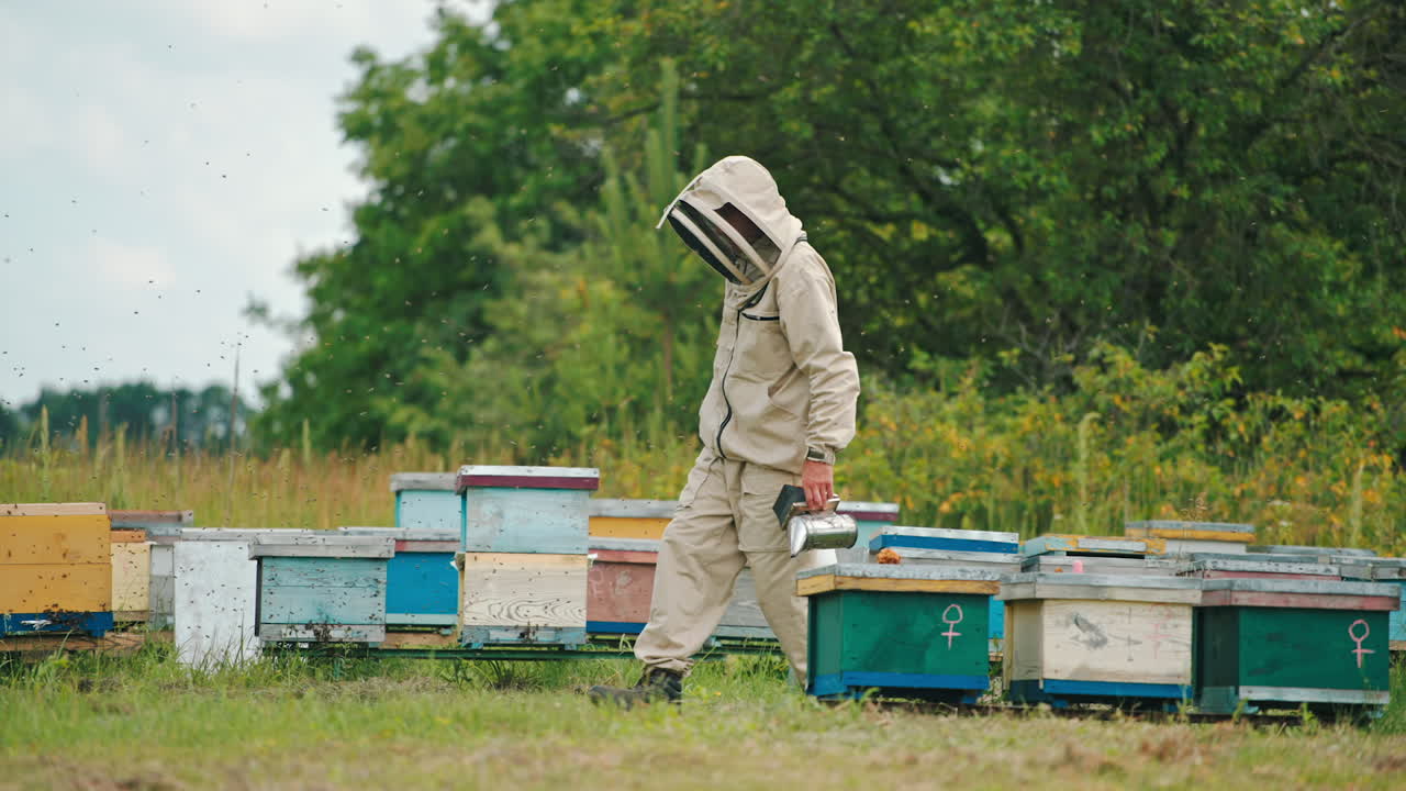 Apiarist standing at his farm with tools and equipment in hands. Man in protective outfit looks at numerous bees swarming around.