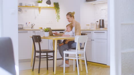 young woman working on laptop computer while sitting with baby boy at home 2