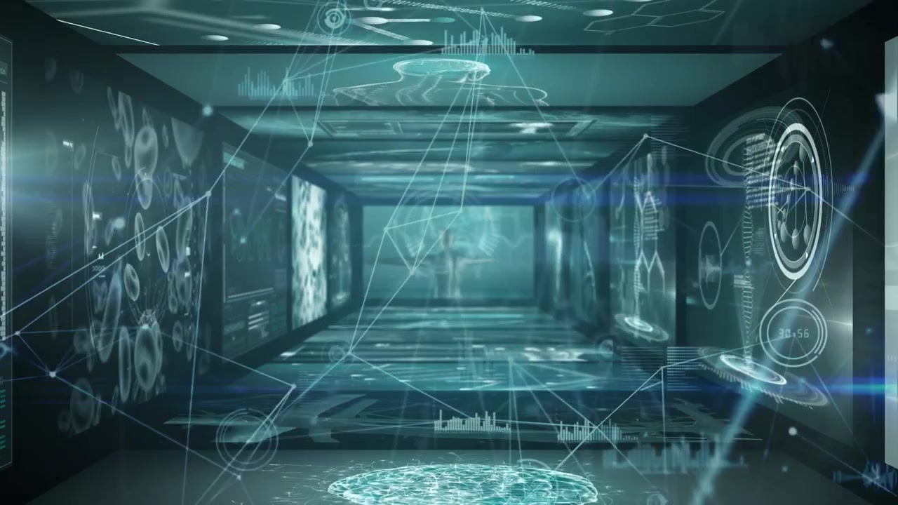Animation of network of connections over data processing
