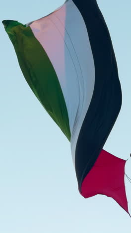 uae flag waving in the wind