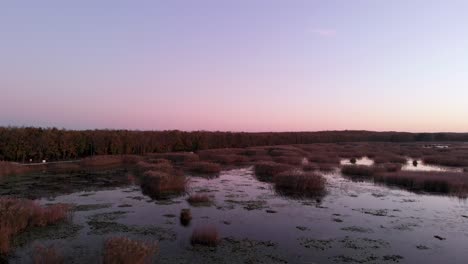 Aerial-forward-flight-over-reeds-and-pond-lily-immersed-in-pond-water,floodplain,Istanbul,Turkey