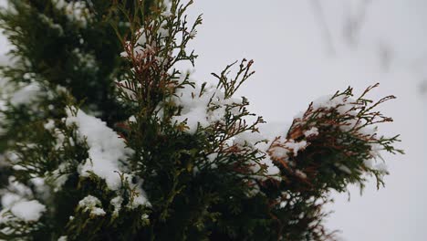 a small boat covered with snow is taken in close-up. the camera is in motion