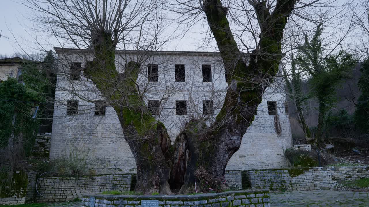 Un maestoso albero secolare con rami spessi si erge di fronte a un edificio storico in pietra, creando un'atmosfera serena e senza tempo. Ideale per documentari storici o contenuti di viaggio.