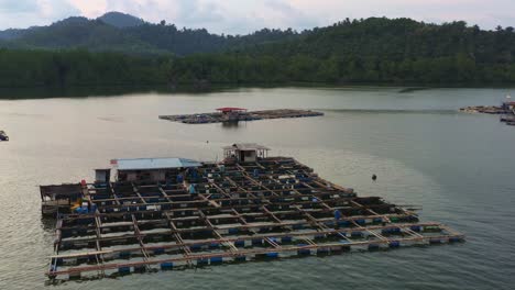 aquaculture fish farms on calm waters, breeding, rearing, and harvesting of fish and shellfish in water environments, with cages and nets teeming with marine life, connected by wooden walkways