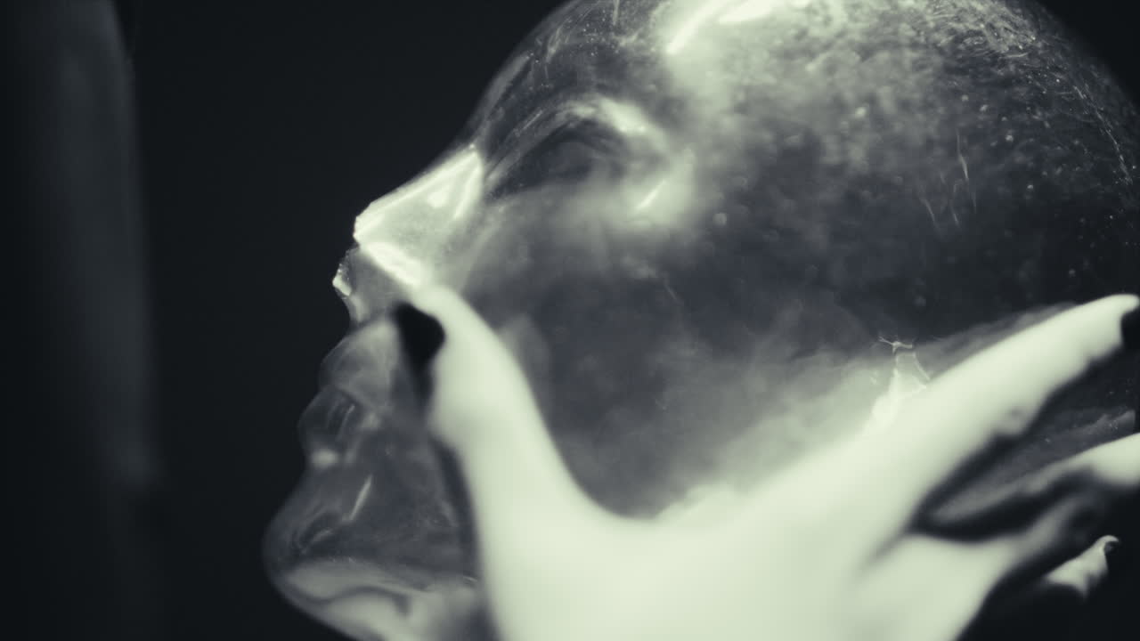 Transparent Head Sculpture