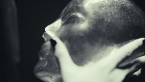 transparent head sculpture