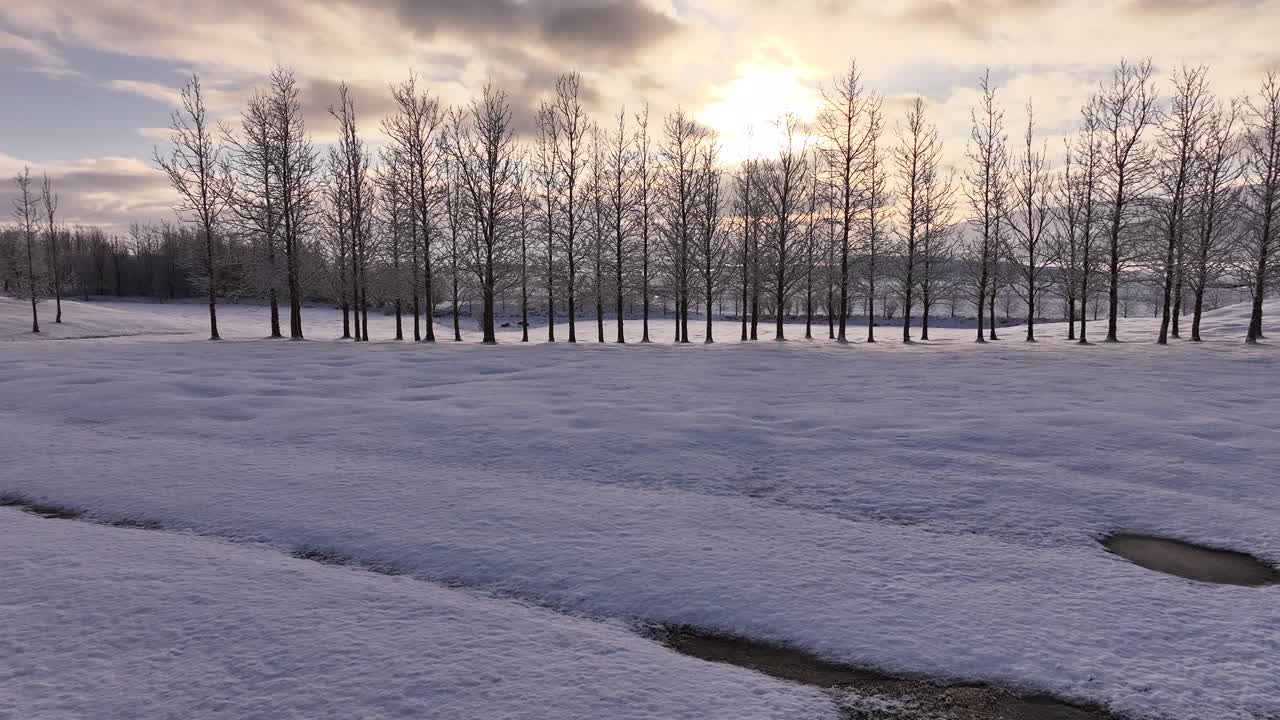 Winter landscape in Borgarfjörður, Iceland, with leafless trees, snow-covered fields, and a golden pond reflecting the low Arctic sun in serene light.