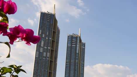 tall building framed by vibrant pink flowers