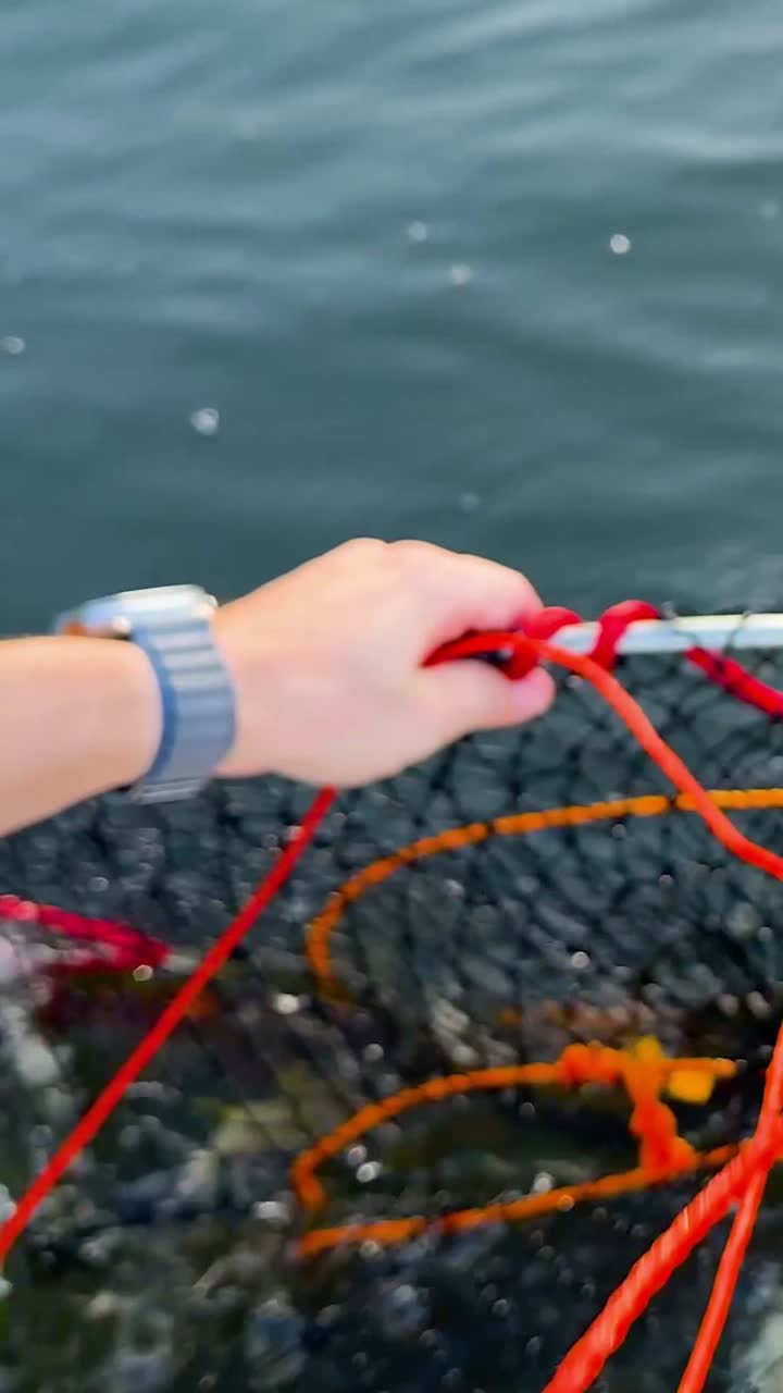 sacando la trampa de cangrejo del agua