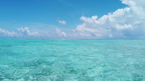 seamless loop video: beautiful ocean seascape against sky. turquoise sea waves in crystal clear water in reef lagoon. stunning blue ocean during sunny day.