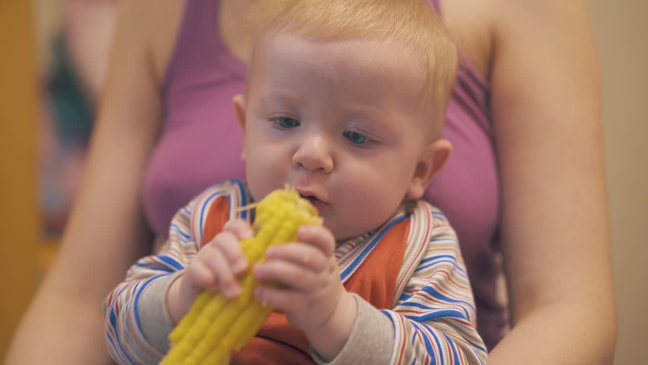 little kid nibbles boiled corn on cob with mommy in room