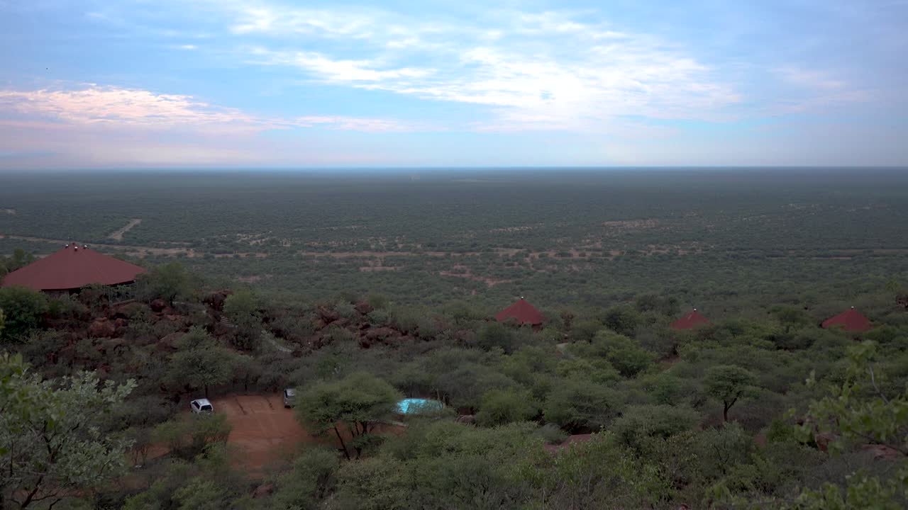 tiro panorámico de vegetación africana