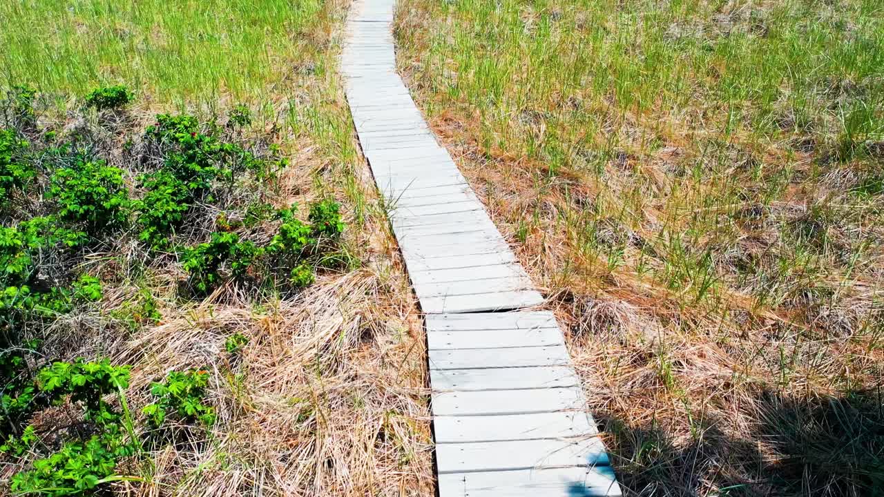POV drone aerial flying over a wooden walkway bridge through tall coastal grasses and trees, guiding toward the Atlantic beach in Saco, Maine. A sunny summer outdoor escape full of nature and serenity