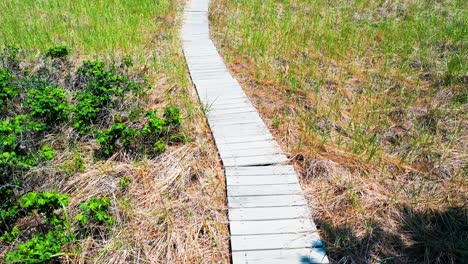 pov drone aerial flying over a wooden walkway bridge through tall coastal grasses and trees, guiding toward the atlantic beach in saco, maine. a sunny summer outdoor escape full of nature and serenity