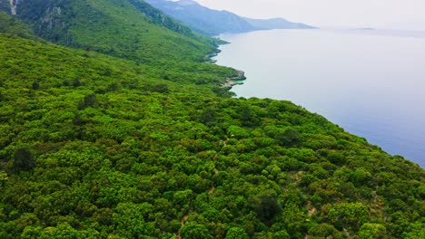 Sendero-Entre-Bosques-De-Costa-Montañosa-En-La-Reserva-De-Vida-Silvestre-En-La-Península-De-Datça