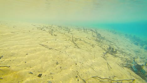 river-bottom-view-with-clear-blue-water-at-day