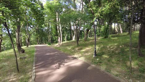 park path through trees