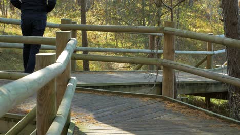 back view of caucasian male exploring nordic seaside forest, wooden pathway, man walking alone in the coastal pine forest, sunny day, healthy activity concept, medium shot