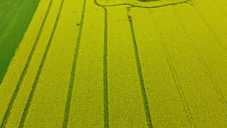 tractor equipped with sprayer booms spraying rape field growths with pesticides to protect against insects of rodents, parasites, and pests, aerial lubawa, poland