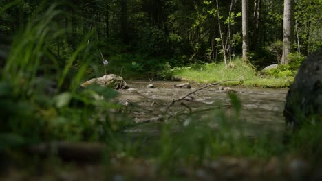 Bucle-Que-Fluye-Bosque-Y-Río-|-Bosque-De-Grindelwald,-Suiza,-Europa,-4k