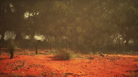 a hazy forest with red dirt and a fence