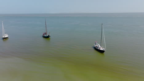 on a sunny day in the netherlands, a group of boats are anchored in the north sea