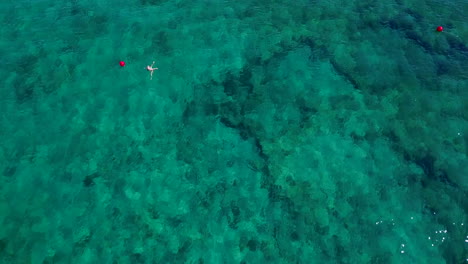 Aerial-shot-of-swimmers-in-the-shallow-blue-waters-of-a-beach