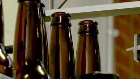 close-up of beer bottles on a conveyor belt in a brewery