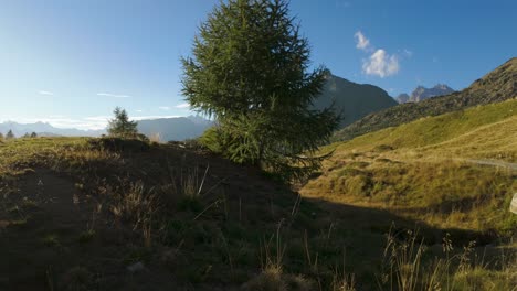 Italian-alpine-landscape-with-mountain-peak,-small-stream-and-grassy-hills