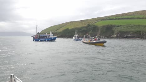 a group of boats out looking for fungie also known as the  dolphin