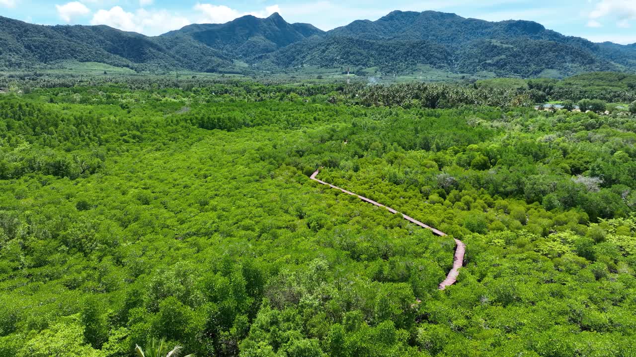 Panoramic Aerial View Of Salak Phet Mangrove Forest Nature Preserve In Koh Chang Tai, Thailand