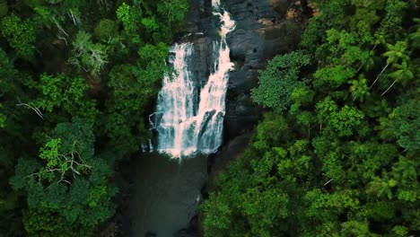 establishing tilting shot revealing huge waterfall in green jungle forest of brazil