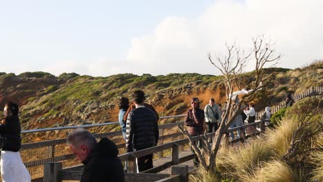 visitors enjoying scenic views and taking photos