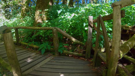 Zeitlupe-|-Pov-Zu-Fuß-Auf-Einer-Holzbrücke-Im-Thailändischen-Dschungel