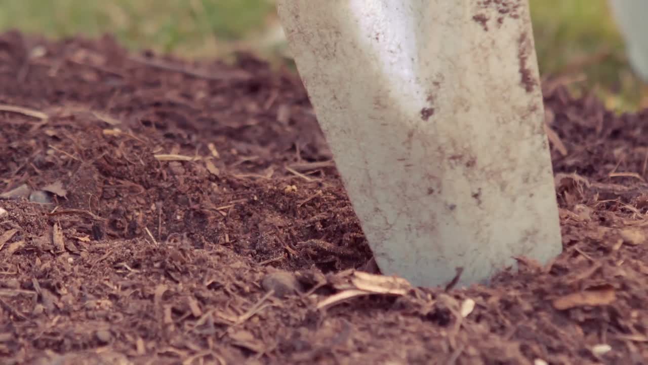 Close up video of gardener using shovel