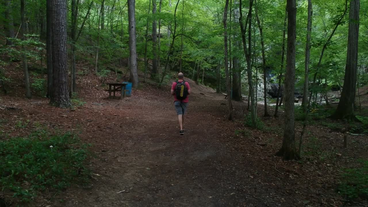 Man hiking in the woods