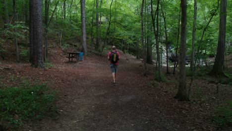 hombre caminando en el bosque