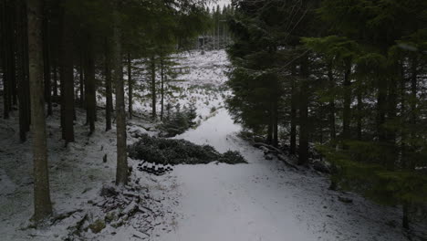 Aerial-drone-pushes-in-through-Christmas-tree-plantation,-snow-covered-mountains,-winter-in-Norway